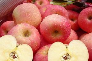 Pommes Fuji Biologiques Fraîches de Qualité Supérieure Prix du Marché Qualité Premium Options de Vente en Gros 10kg à Vendre - Product Image 5