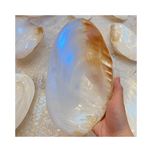 Plateau en nacre artisanal en mosaïque de nacre sur cadre en bois pour porte-parfum et coiffeuse, fabriqué au Vietnam - Product Image 5