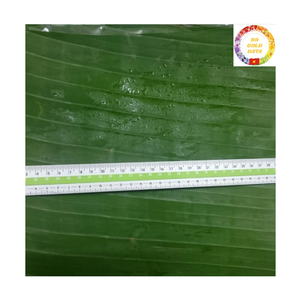 ใบตองสดแช่แข็งสำหรับบรรจุภัณฑ์อาหาร ขายส่งใบตองจากเวียดนาม - Product Image 6