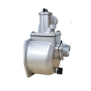 Pompe complète pour Sr80 Réf 976892 Produit compatible dans la catégorie des pompes - Product Image 1