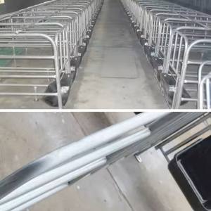 Nouvelles caisses de mise bas de porcs à prix d'usine équipement d'élevage d'animaux facile à installer pour les truies garantie d'un an pour l'élevage de porcs - Product Image 4