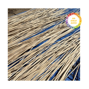 Canne en rotin naturel de diamètre uniforme traitée pour une mise en forme facile, idéale pour les usines de fabrication de meubles à grande échelle - Product Image 2