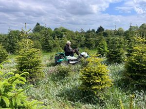 Orec Rabbit RM882 Ride-On Brushcutter 88cm Bank Mower tondeuse à gazon orec à vendre à bas prix de gros - Product Image 5