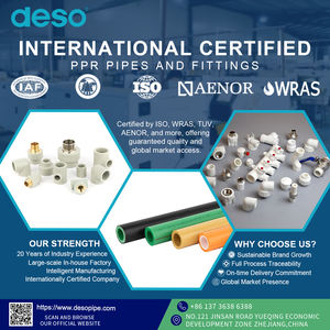 วาล์วหยุดทองเหลือง PPR สำหรับระบบน้ำอุปกรณ์ประปาปรับแต่งได้อุปกรณ์ท่อประปา - Product Image 6