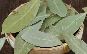 Hojas de Laurel naturales de especias individuales de alta calidad al por mayor - Product Image 5