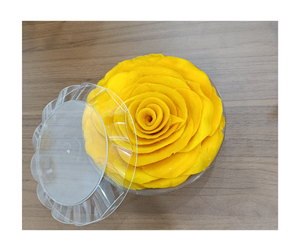 Wholesale Vietnam Yellow Dried Mango, Premium Snack Perfect for Smoothies and Export Worldwide - Product Image 1