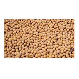 Sac de 50kg germination et graines de soja jaune sec de qualité alimentaire soja non OGM - Product Image 3