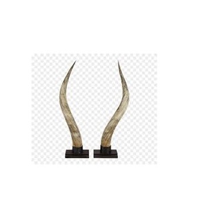 Cuerno par de búfalo Fabricante de India Cuerno par de búfalo pulido para el par de cuernos de vaca y buey más vendido - Product Image 6
