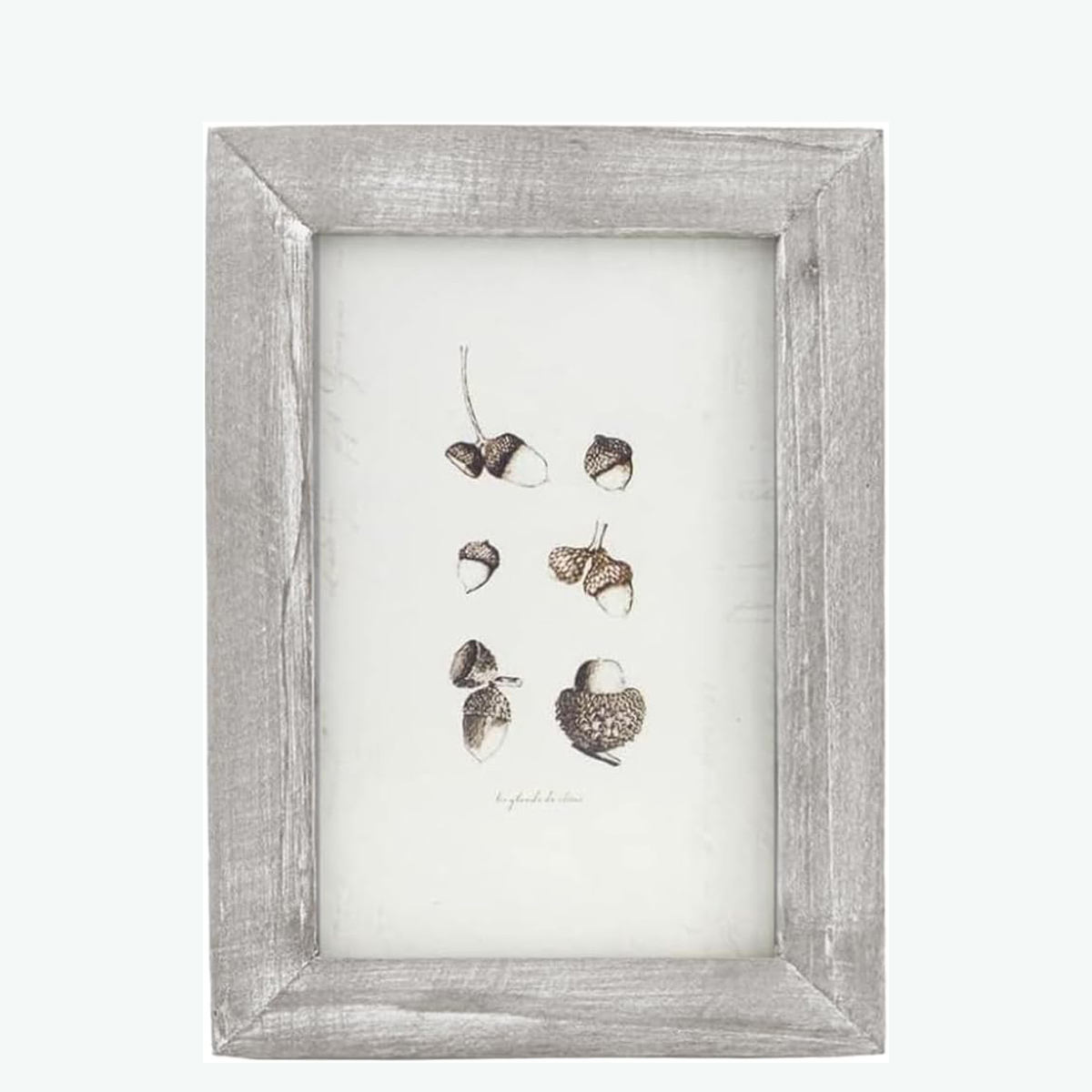 สีขาวเทาแอนทีค