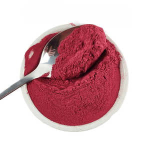 ผงบีทรูทบดละเอียดคุณภาพสูงสำหรับสูตรความงาม ผงบีทรูทสมุนไพรบริสุทธิ์ ทำจากบีทรูทแห้งเพื่อผิวเปล่งประกาย - Product Image 1