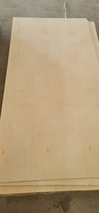 Contrachapado Comercial de Abedul E2 Ecológico Bintangor de 3mm, 1220x2440mm, para Uso en Hoteles, Precio Bajo - Product Image 6