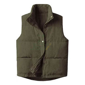 Ropa de calle para mujer, chaleco acolchado de pana, cuello levantado, cierre de botón a presión con cremallera, chaleco cálido sin mangas, ropa exterior de moda de invierno - Product Image 1