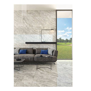 Azulejos de porcelana natural Amalia multifuncional de alta calidad, diseño clásico moderno del fabricante indio - Product Image 1