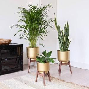 Ensemble de jardinières de sol modernes de luxe en métal argenté brossé, pots à fleurs cylindriques hauts en acier inoxydable pour intérieur - Product Image 2