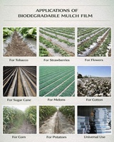 Film de paillage agricole blanc et noir perforé, résistant aux UV, 100 % PE vierge, pour la croissance des cultures et la rétention de l'humidité, usage agricole