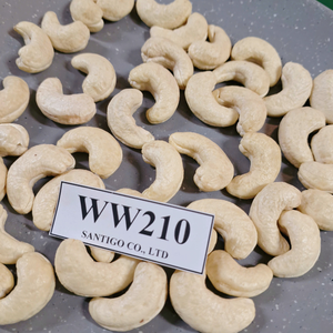 Precio de fábrica Nueces secas Anacardos Kaju WW210 Nueces y granos SANTIGO Bajo MOQ Origen de Vietnam - Product Image 1