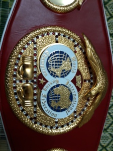 เข็มขัดแชมป์มวยแบบกำหนดเอง - Product Image 5