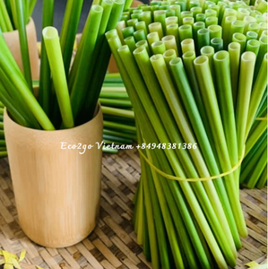 Productos ecológicos, pajitas de hierba de Vietnam/100% pajitas de hierba ecológicas, biodegradables, fabricadas en Eco2go Vietnam - Product Image 6