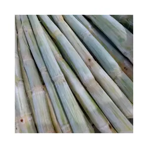 Discover the Freshness: Peeled Frozen Sugarcane - High-Quality Wholesale Export from Vietnam