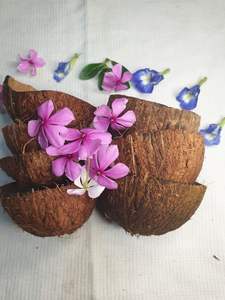 ชามกะลามะพร้าวธรรมชาติ ชามอาหารทำมือจากธรรมชาติ |   ภาชนะบนโต๊ะอาหารที่ยั่งยืนสำหรับขายส่ง - Product Image 5