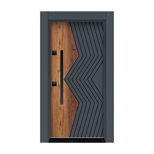 Porte en acier durable et sécurisée pour la maison, l'hôtel, le bureau, l'appartement, l'école et le hall - Tailles personnalisées et standard, utilisation intérieure et extérieure - Product Image 6