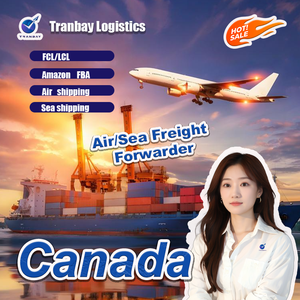 <span class=keywords><strong>Service</strong></span> professionnel depuis la Chine, fret aérien bon marché, transport routier vers le Royaume-Uni, DDP, agent d'expédition internationale, Shenzhen, Guangzhou - Product Image 5