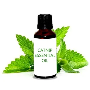 Nepeta Cataria Olie 100% Pure Plantaardige Extract Etherische Oliën Belangrijkste Ingrediënt Voor Cosmetische Productie Catnip Olie Bulk Prijs