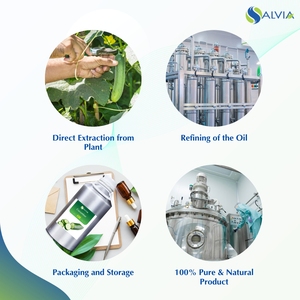 Huile de concombre 100% pur et naturel en gros en vrac prix le plus bas emballage personnalisé - Product Image 4