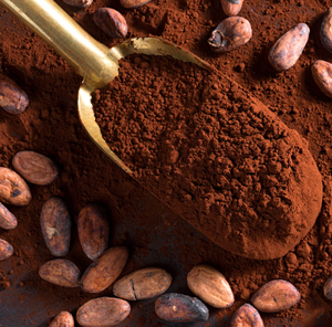 Etiqueta privada negro natural 100% puro al por mayor exportación cacao orgánico de alta calidad en polvo - Product Image 3