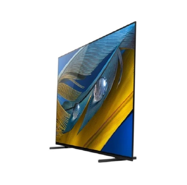 Commercial Grade 4K OLED Smart TV with Advanced HDR and Intelligent Display System