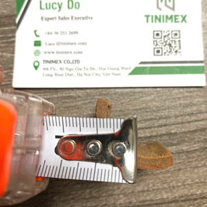 Cassia/Canela/Gyepi de Corte Cuadrado Natural ELITE con Calidad Premium a Precios Competitivos - Product Image 4