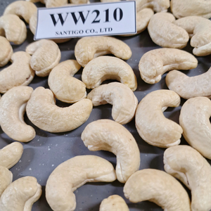 Nueces secas a granel baratas SANTIGO Nuts & Kernels Kaju Anacardo WW210 - Product Image 1