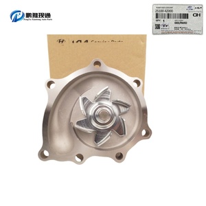OEM 25100-4Z000  251004Z000  CONJUNTO DE BOMBA-BLINDO Bomba de Agua para HYUNDAI KIA  K2500 K2700 K2900 K3000S Pregio Besta - Product Image 6