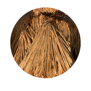 HYACINTHE D'EAU TORSADÉE COMME DÉCORATION AVEC DE BELLES CONCEPTIONS ORIGINAIRES AU VIETNAM - Product Image 3