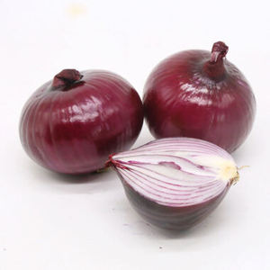 Bulk fresh <b>red</b> onion High quality onion shipment Fresh onion global sourcing <b>Red</b> onion bulk supply - Product Image 2