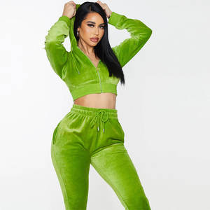 Costume pantalon en velours brodé personnalisé pour femmes Vente en gros Jogging pour femmes Sweat-shirt court Sweats à capuche en velours Survêtement en velours - Product Image 6