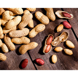 प्रीमियम कार्बनिक कच्चे मूंगफली थोक थोक मूंगफली गैर gmo खाद्य मूंगफली की करलियां बोल्ड जावा मूंगफली निर्यातक - Product Image 3