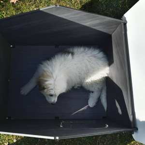 Cucciolotta Classic L, Fabricada en Italia, Laminado HPL de Alta Calidad, Resistente al Viento, Cuadrada, Sólida, Resistente a la Intemperie, Caseta para Perros Pequeños - Product Image 4