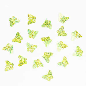 Sequin forme spéciale deux trous centrés couleur holographique, Selanusa - Product Image 1