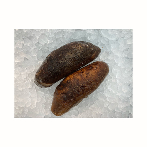 Pepino de mar fresco a granel envasado en envases refrigerados para exportación y venta al por menor - Product Image 6