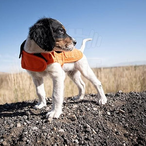 Chaqueta acolchada de invierno para perros de diseño personalizado de calidad superior Patrón sólido moderno Abrigos de ropa para mascotas OEM - Product Image 6