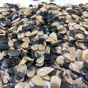 Par de raíces de Palma Piedras preciosas Pares de ágata de raíz de Palma combinados Piedras preciosas sueltas para pendientes - Product Image 5