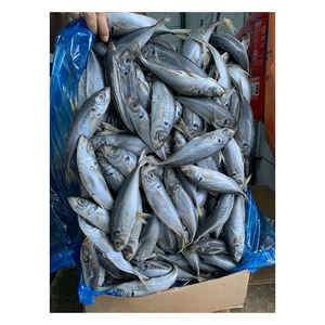 ปลาแมคเคอเรลแอตแลนติกแช่แข็ง จัดส่งรวดเร็ว พร้อมจำหน่ายสำหรับการสั่งซื้อโดยตรงจากโรงงาน - Product Image 4