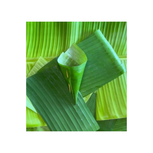 จากซัพพลายเออร์ 99 ข้อมูลทองเวียดนาม - จัดหาใบกล้วยจํานวนมาก - ห่ออาหารใบกล้วยอย่างยั่งยืน - Product Image 1