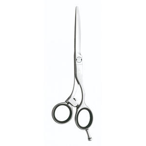 Vente en gros de ciseaux de coiffeur de 6 pouces lame en acier inoxydable couleur argent avec repose-doigt pour la coiffure - Product Image 5