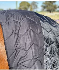 भारत के निर्यातक घोड़े की गर्दन पर अतिरिक्त 42on थोक मूल्य <span class=keywords><strong>3</strong></span> बकल कीमत - Product Image 2