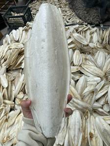 La sepia seca barata más vendida en Vietnam, alta calidad a buen precio - Product Image 5