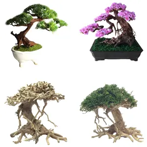 Bonsai aquático para aquários, bonsai de madeira flutuante para aquários e acessórios, design quente 2023, WinwinWorldwide