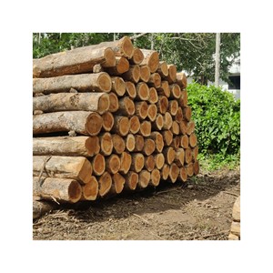 Sawn Square Timber <b>Logs</b> Premium Grade, Suitable for Industrial Applications - Product Image 2