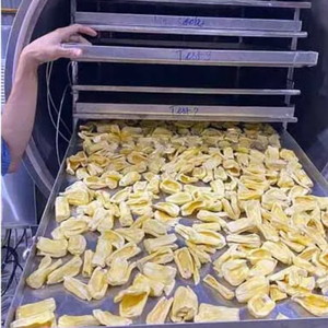 DEMANDE MONDIALE EXPORTATION DE FRUITS SECS | VIETNAM CRISPY SEC JACKFRUIT PREMIUM QUALITÉ - Product Image 1